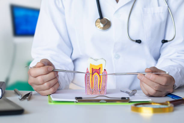 Best Emergency Root Canal Therapy in Junction City, KS
